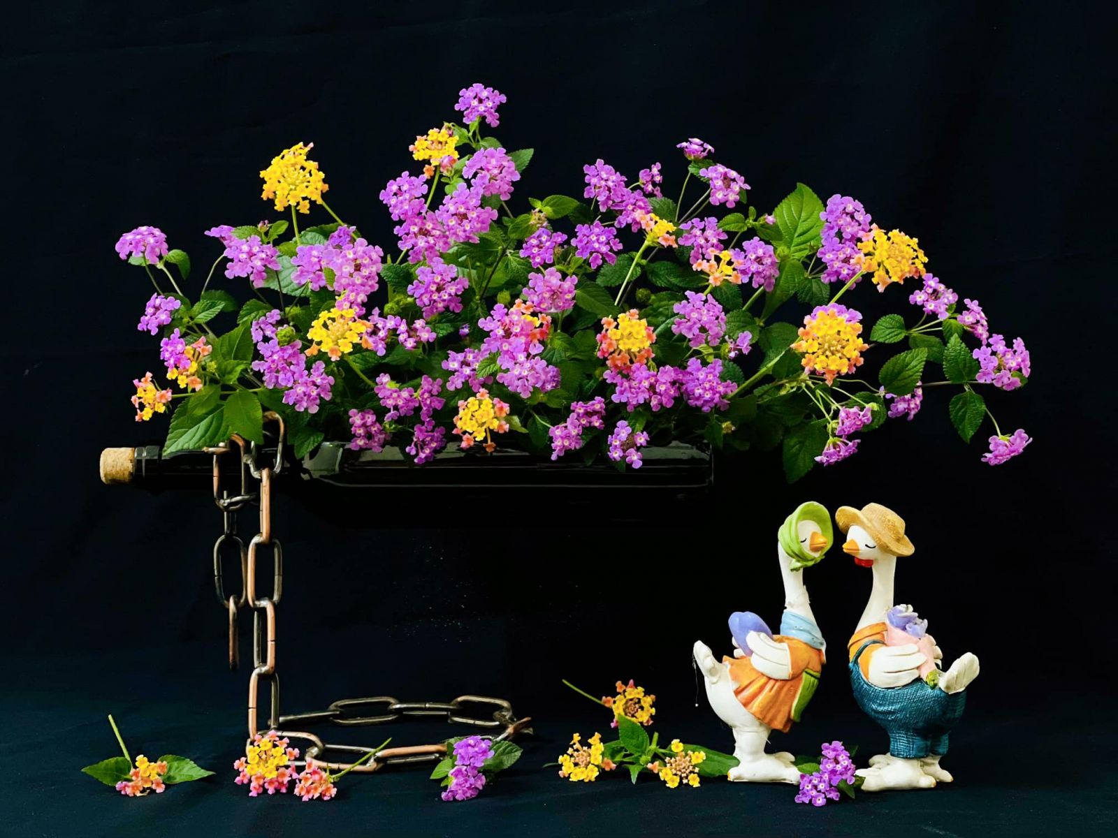 Tử vi hàng ngày 1/4/2022 của 12 cung hoàng đạo